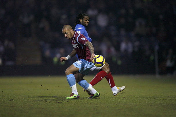 抛出橄榄枝 抛出橄榄枝